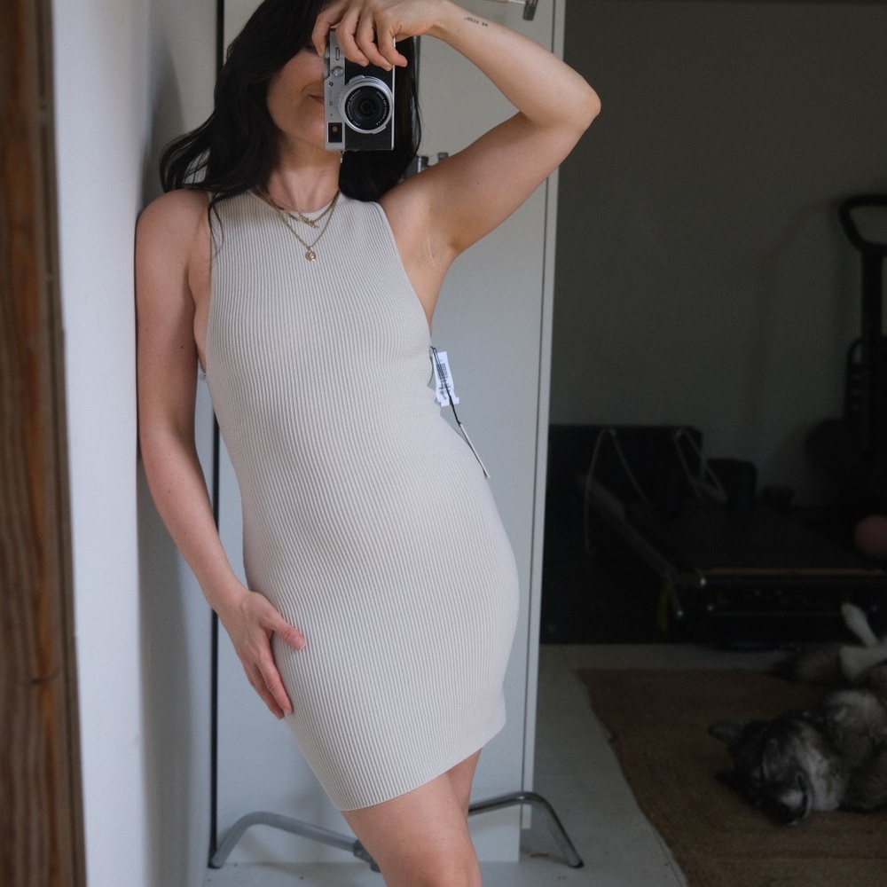 Aritzia Babaton contour dress